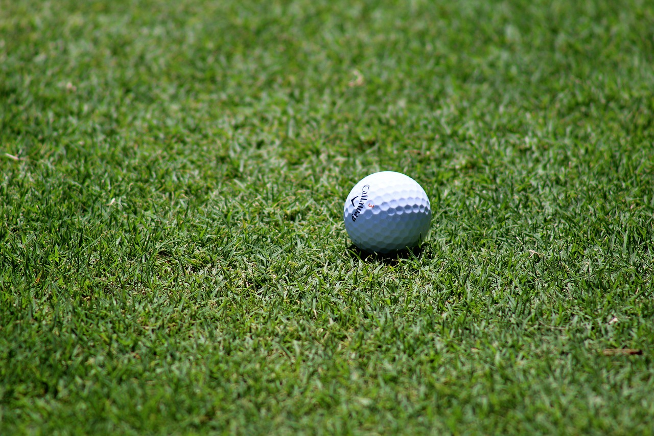 golf, golf ball, golf course, nature, grass, sport, golf, golf, golf, golf, golf